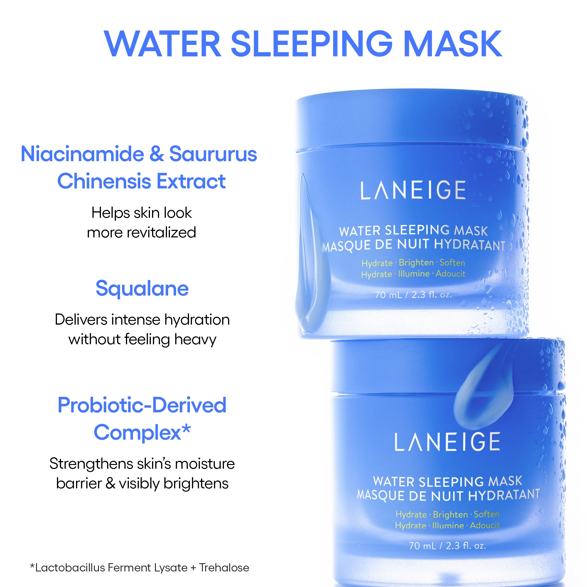 LN_WSM_Infographic_2024_2000x2000_02.jpg